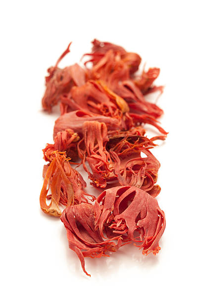 Organic  Mace Spice